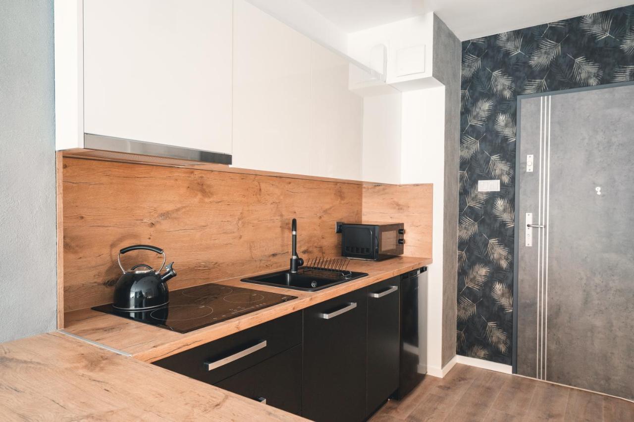 شقة Świeradów-Zdrój  في Apartament Nr 16 - Zrodlana 2 المظهر الخارجي الصورة
