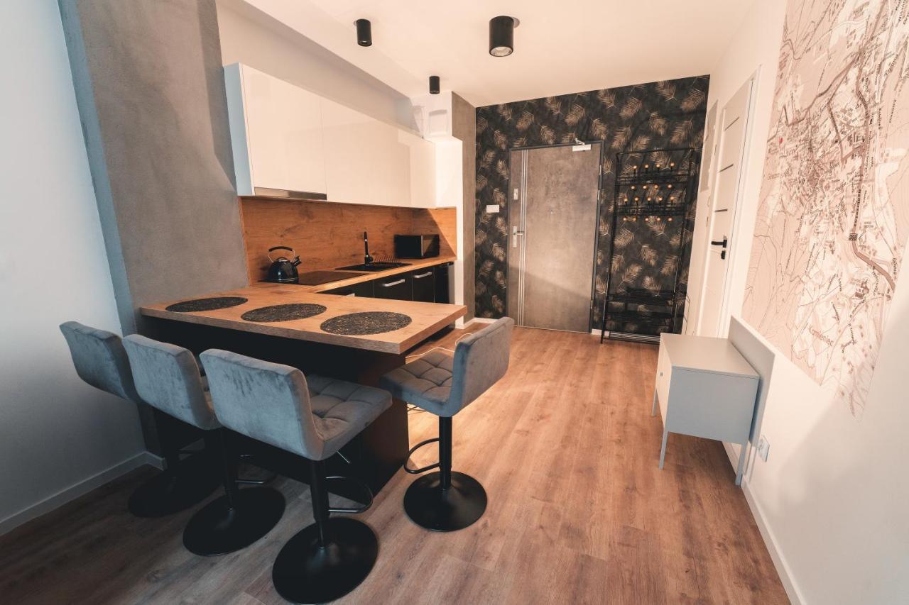 شقة Świeradów-Zdrój  في Apartament Nr 16 - Zrodlana 2 المظهر الخارجي الصورة